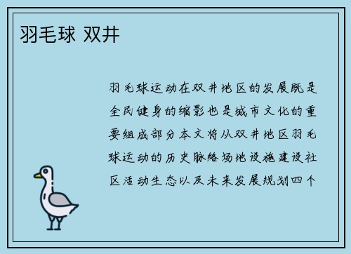 羽毛球 双井